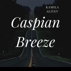 Kamila Aliyev: Calm Echoes