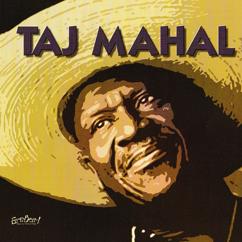 Taj Mahal: Funky Bluesy ABC's