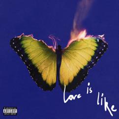 Maroon 5: Love Is Like