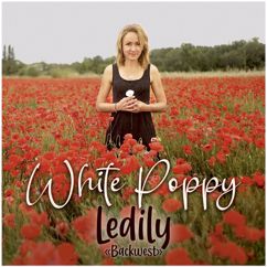 Ledily Backwest: White Poppy