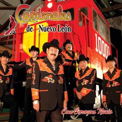 Cardenales De Nuevo León: Con Corazón Necio