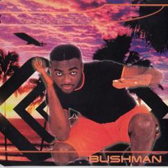 Bushman: No 1 Else (Mangroove Remix)
