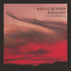 Keola Beamer: Honolulu City Lights