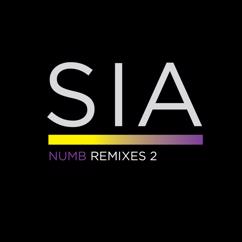 Sia: Numb (Tom Middleton Cosmos Mix)