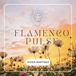 Javier Martinez: Flamenco Pulse