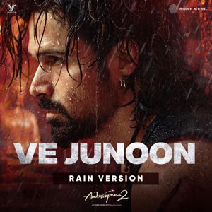 Mithoon, Sayeed Quadri & Subodhh Sharma: Ve Junoon