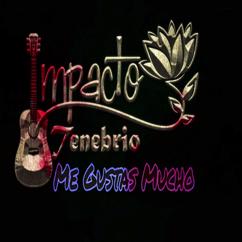 Impacto Tenebrio: Me Gustas Mucho