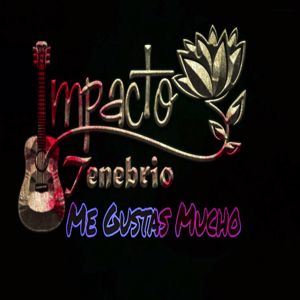 Impacto Tenebrio: Me Gustas Mucho