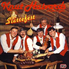 Knut Halvards: Slåttefest på Kolsrud - Flaten, Reinlender