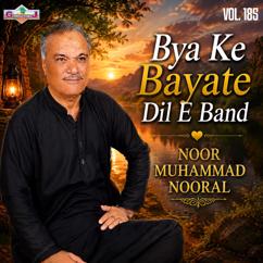 Noor Muhammad Nooral: Bya Ke Bayate Dil E Band, Vol.185