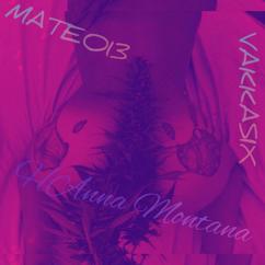 VAKKASIX, MATEO13: Hanna Montana