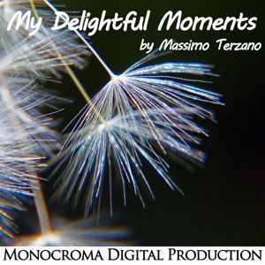 Massimo Terzano: My Delightful Moments
