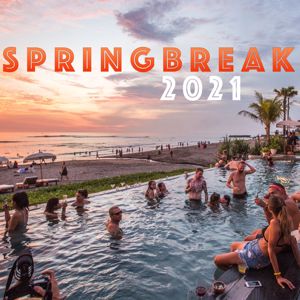 Various Artists: Springbreak 2021