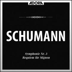 Bamberger Symphoniker, Robert Heger: Symphonie No. 3 für Orchester in E-Flat Major, Op. 97: IV. Feierlich