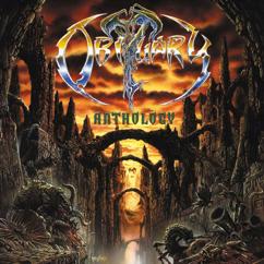 Obituary: By the Light