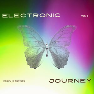 Various Artists: Electronic Journey, Vol. 1