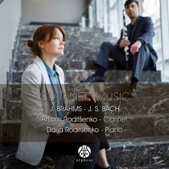 Artjom Roditšenko & Darja Roditšenko: Clarinet Sonata in F Minor No.1, Op. 120: I. Allegro Appasionato - II. Andante Un Poco Adagio - III. Allegretto Grazioso - IV. Vivace