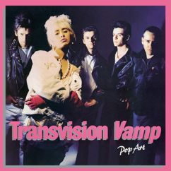 Transvision Vamp: Andy Warhol's Dead