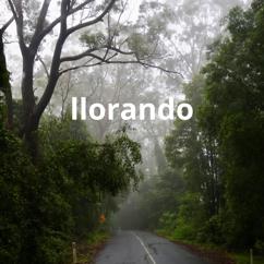 La Freza Rd: llorando