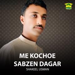 Shakeel Usman: Me Kochoe Sabzen Dagar