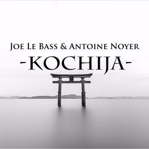 Joe Le Bass & Antoine Noyer: Kochija