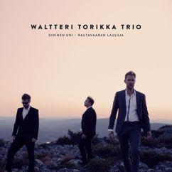 Waltteri Torikka Trio: Menen enkä meinaa