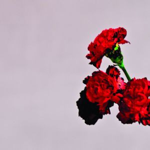 John Legend: Love In The Future (Intro) (Album Version)