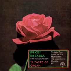 Erkki Ertama: Rain of Love