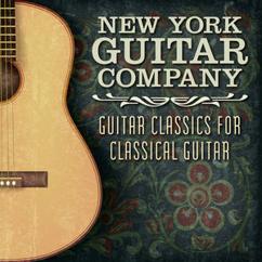 New York Guitar Company: If You Could Read My Mind
