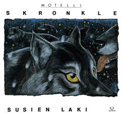 Motelli Skronkle: Lentokone