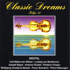 Caspar da Solo Quartett: Rosamunde, Streichquartett Nr. 13, A-Moll, op. 29/1, D. 804
