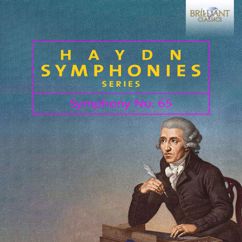 Austro-Hungarian Haydn Orchestra, Adam Fischer: I. Vivace e con spirit