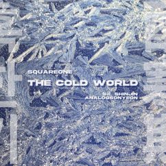 SquareOne feat. Shinjin & Analogsonyeon: The Cold World