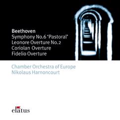 Nikolaus Harnoncourt: Beethoven: Symphony No. 6 in F Major, Op. 68 "Pastoral": II. Scene am Bach. Andante molto moto
