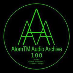 AtomTM: Riders on the Storm (Instrumental) (Bonus Track)