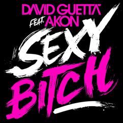 David Guetta: Sexy Bitch (feat. Akon) (Afrojack Remix)