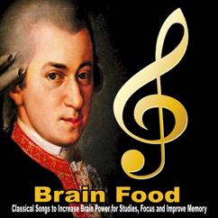 Various Artists: Brain Food, Classical Songs to Increase Brain Power for Studies, Focus and Improve Memory
