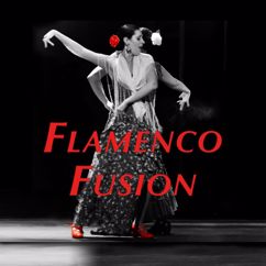 Ash Dargan: Flamenco Fusion