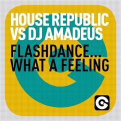 House Republic vs. DJ Amadeus: Flashdance… What a Feeling