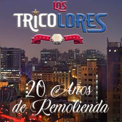 Los Tricolores: Al gran puerto de Coquimbo