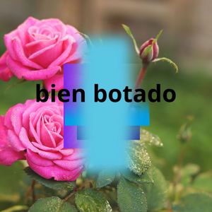 manuel fucil: bien botado