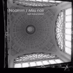 Noamm And Miss Noir: 16 Psyque (Original Mix)