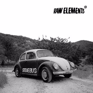Steve Bug: Released Trax