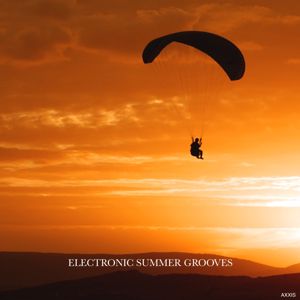 Various Artists: Electronic Summer Grooves