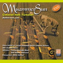 Muammer Sun: Çanakkale