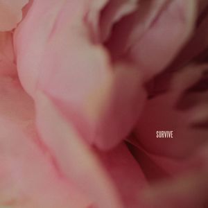 Lewis Capaldi: Survive