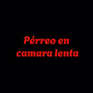 Neyvarox: Perreo en camara lenta
