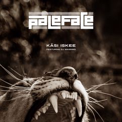 Paleface feat. DJ Massimo: Käsi iskee
