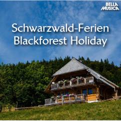 Schwarzwaldfamilie Seitz: Die Bimmelbahn vom Schwarzwaldtal