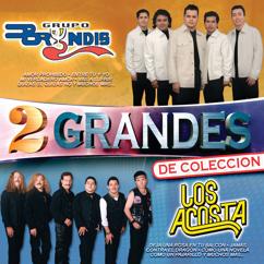 Los Acosta: Los Chicos De La Banda (Album Version) (Los Chicos De La Banda)